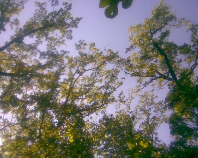 Сухоліси з panoramio.com - Sukholisy