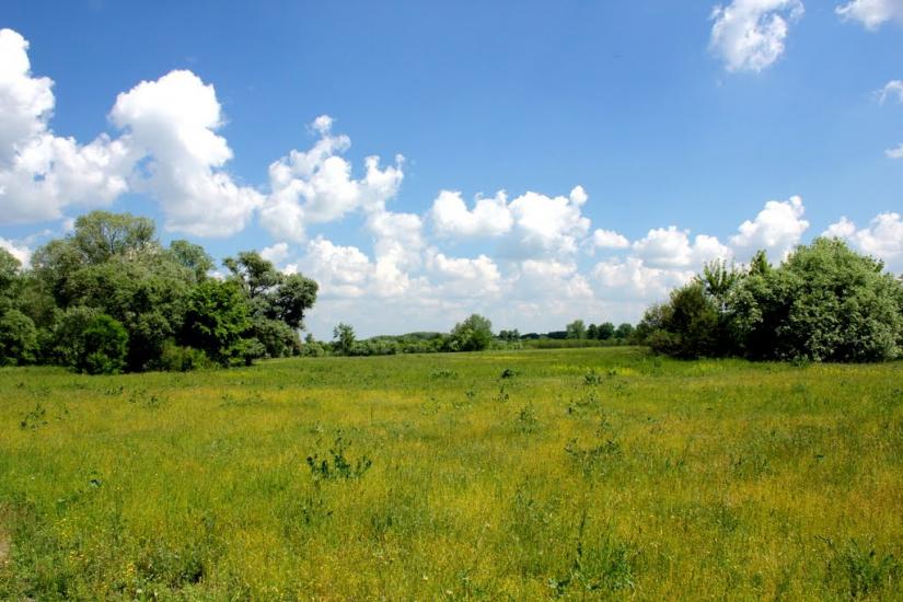 Рижівка з panoramio.com - Рыжевка
