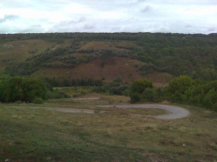 Грушка з panoramio.com - Грушка