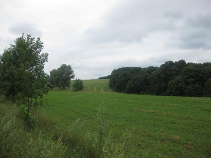 Садки з panoramio.com - Садки