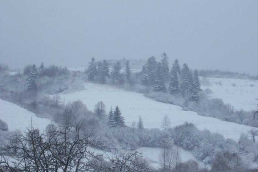 Топільниця з panoramio.com - Топільниця