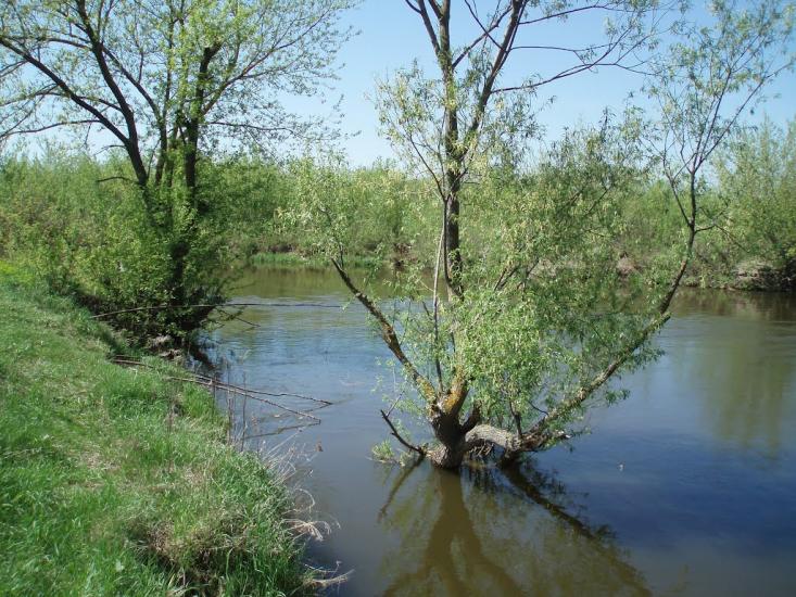 Бухарів з panoramio.com - Бухарів