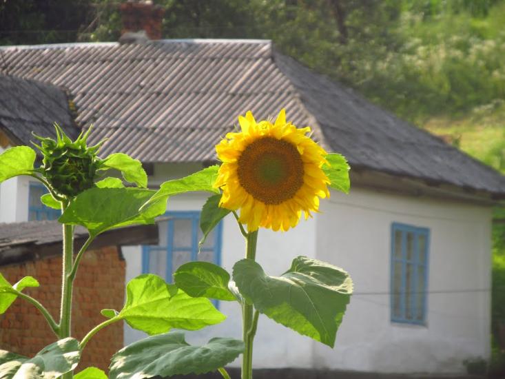 Маркова з panoramio.com - Маркова