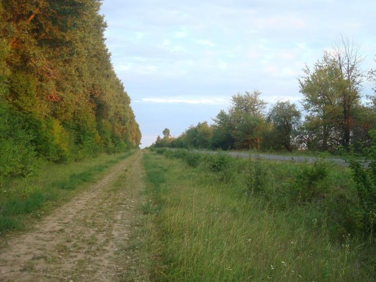 Іванівка з panoramio.com - Іванівка