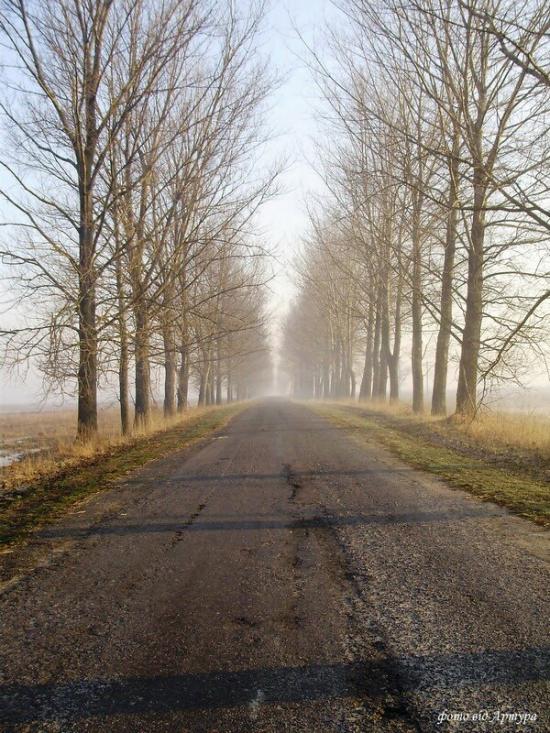 Суськ з panoramio.com - Суськ