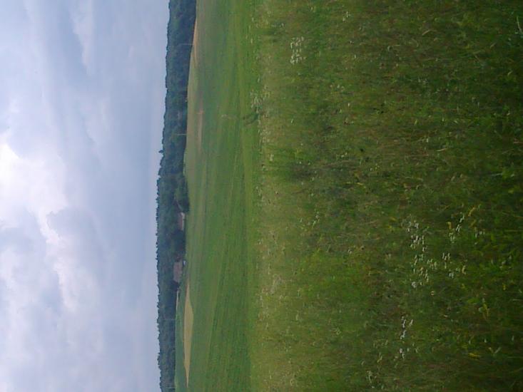 Сатиїв з panoramio.com - Satyyiv