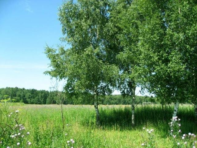 Гуляйполе з panoramio.com - Гуляйполе