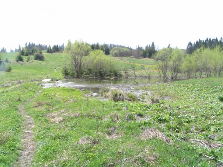 Біньова з panoramio.com - Бенева