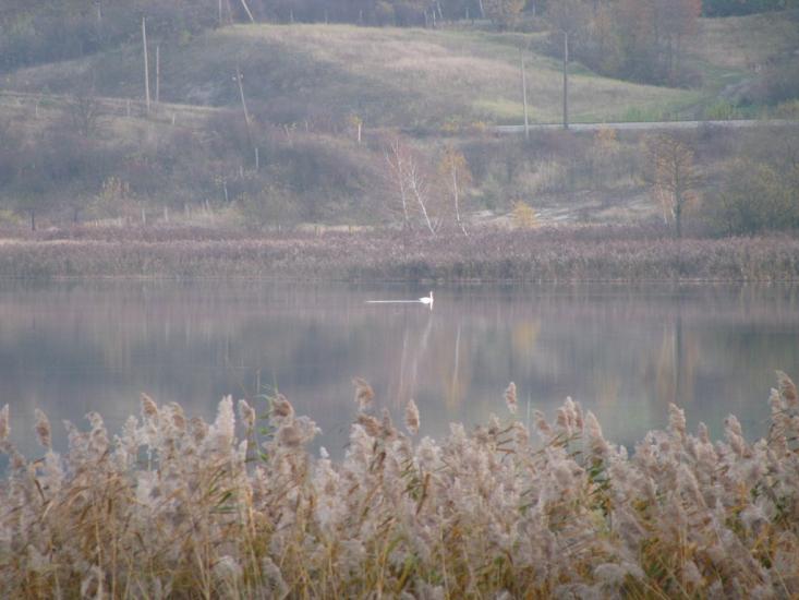 Воля-Гомулецька з panoramio.com - Воля-Гомулецька