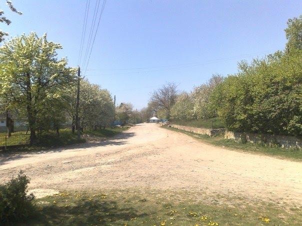 Козівка з panoramio.com - Kozivka