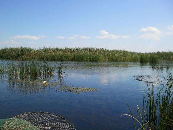 Гупалівка з panoramio.com - Гупалівка