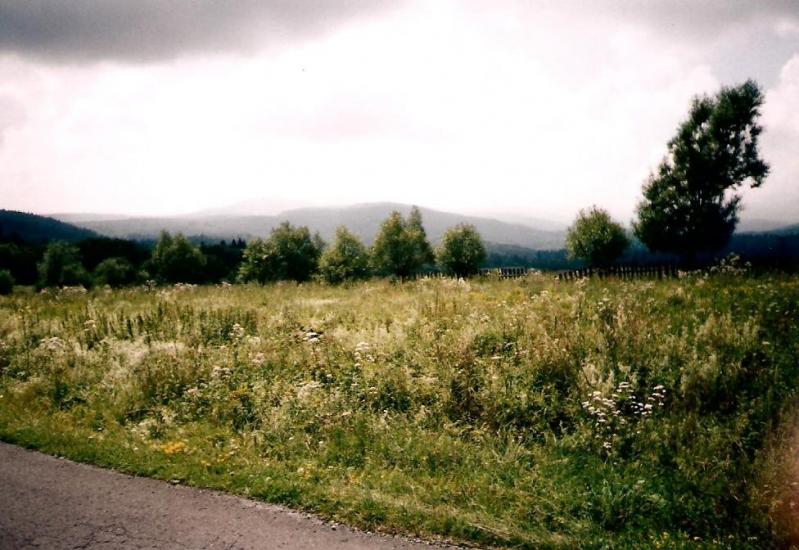 Шандровець з panoramio.com - Shandrovets