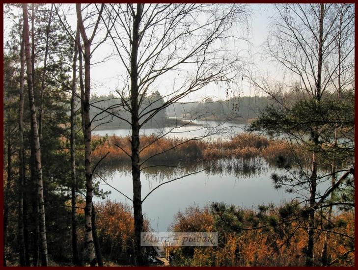 Ровжі з panoramio.com - Ровжи