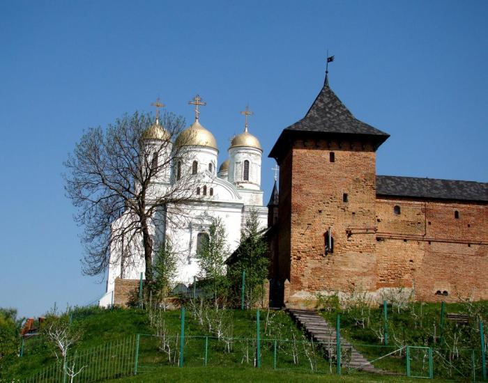 Зимне з panoramio.com - Зимнее