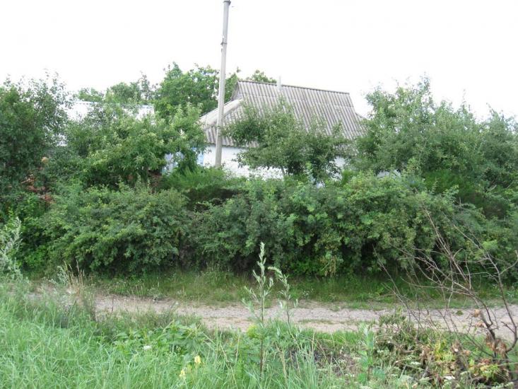Мачухи з panoramio.com - Мачухи