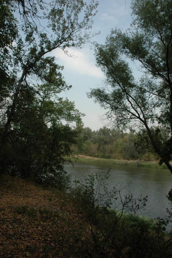 Піщане з panoramio.com - Песчаное