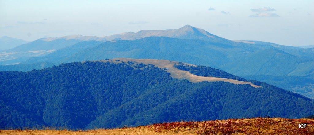 Вовчий з panoramio.com - Волчий