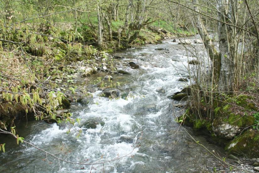 Кічерели з panoramio.com - Кичерели