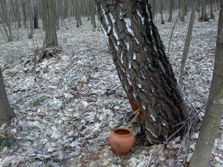 Осьмаки з panoramio.com - Осьмаки