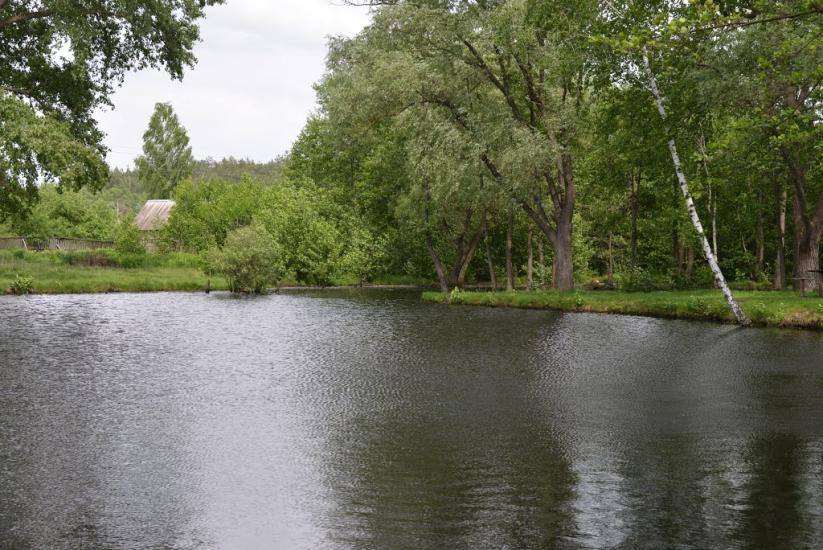Корюківка з panoramio.com - Корюковка