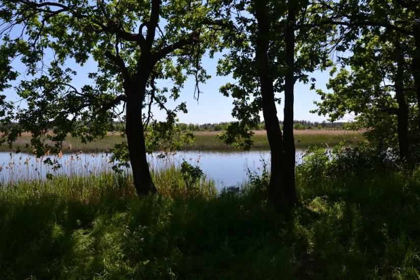 Йосипівка з panoramio.com - Йосипівка