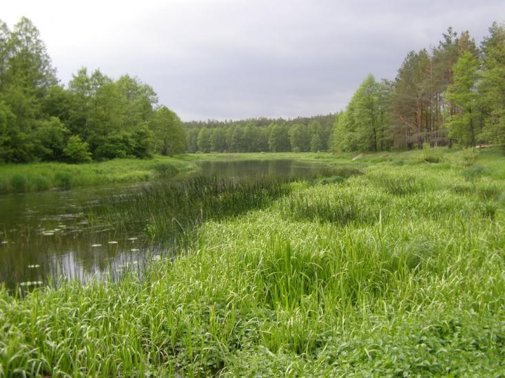 Сарновичі з panoramio.com - Сарновичи