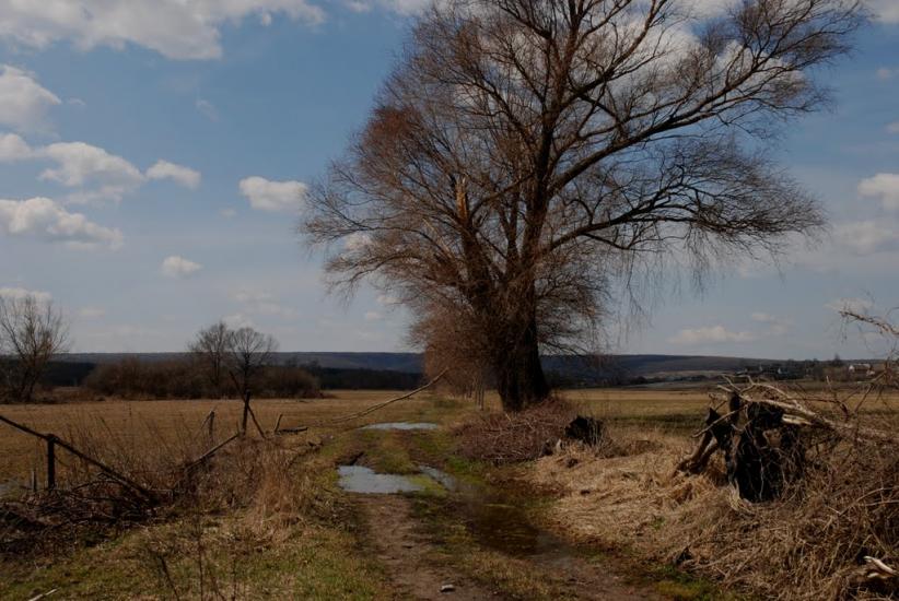 Гатище з panoramio.com - Гатище