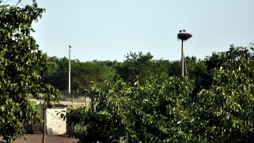 Кринки з panoramio.com - Кринки