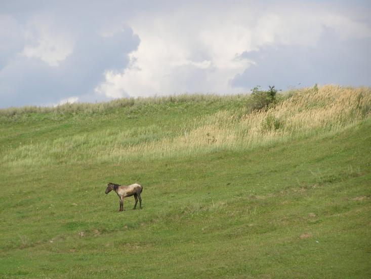 Клебанівка з panoramio.com - Klebanivka