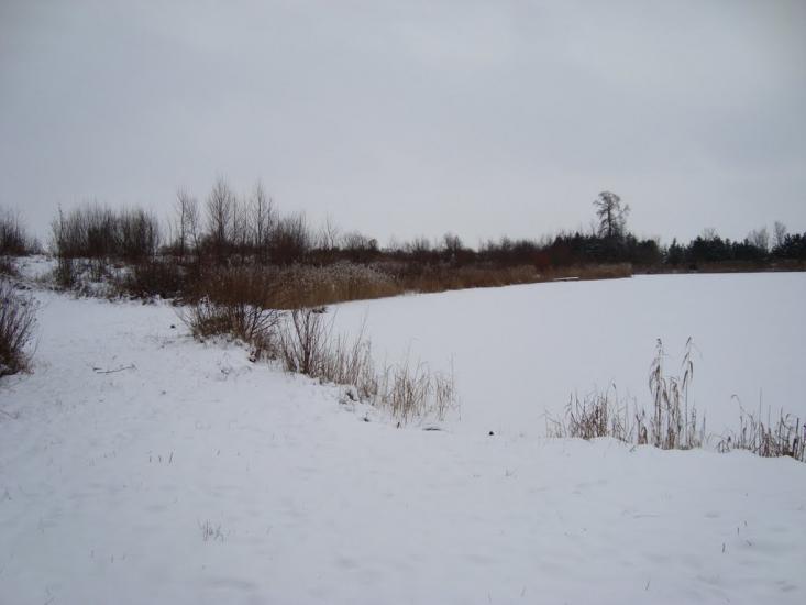 Буців з panoramio.com - Буцов