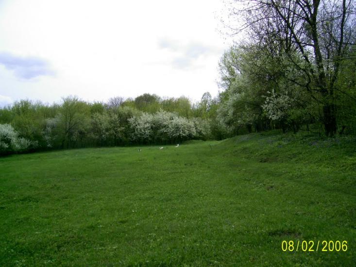 Романівка з panoramio.com - Романівка