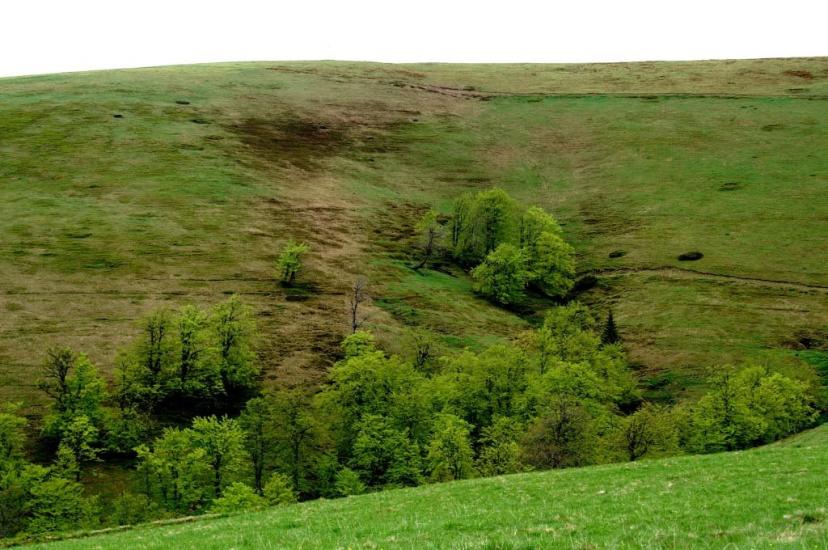 Білин з panoramio.com - Білин