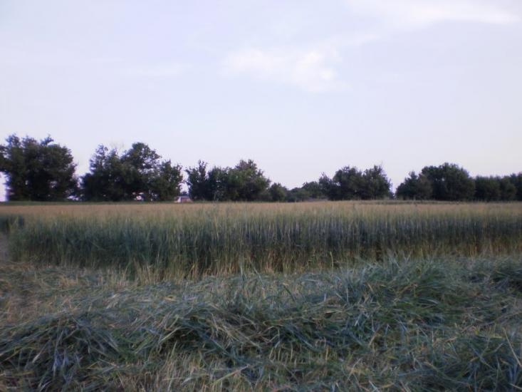 Захарівка з panoramio.com - Захаровка