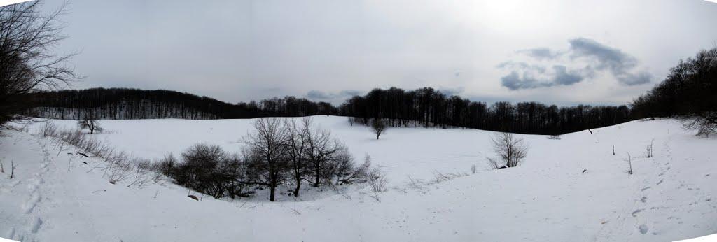 Анталовці з panoramio.com - Анталовцы