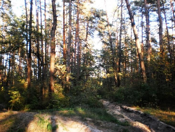 Чугуїв з panoramio.com - Чугуев