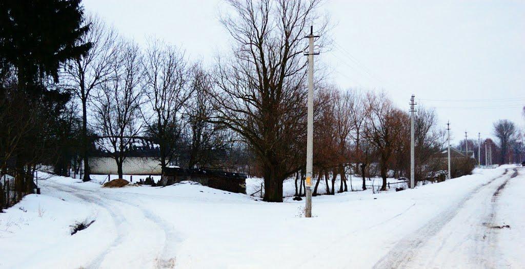 Березівка з panoramio.com - Березівка