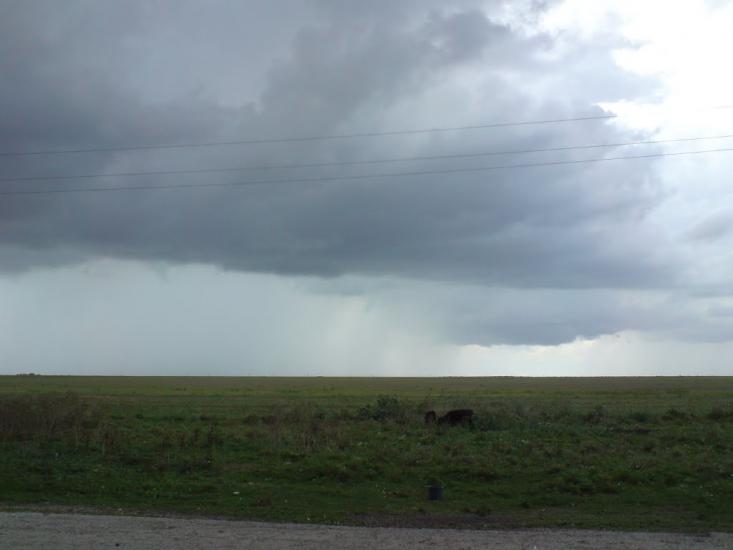 Світле з panoramio.com - Світле