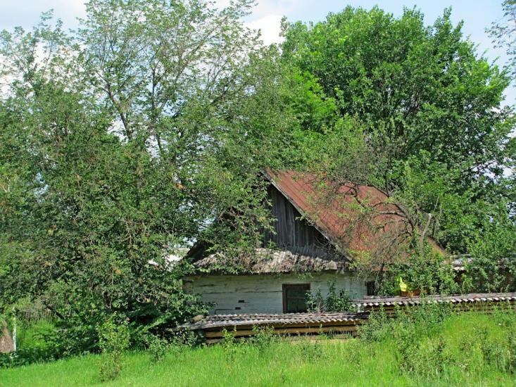 Хотин з panoramio.com - Хотин