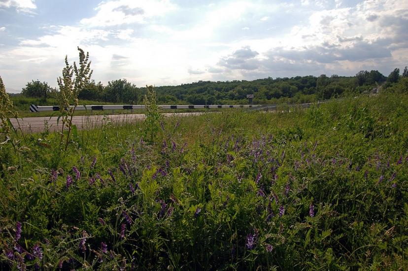 Іскра з panoramio.com - Іскра