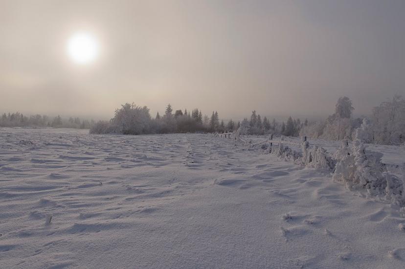 Красне з panoramio.com - Красне