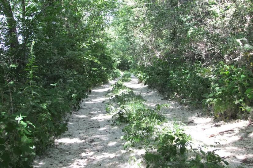 Городище з panoramio.com - Городище