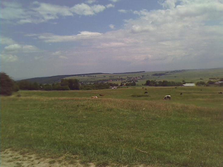 Нижні Синівці з panoramio.com - Нижние Синевцы