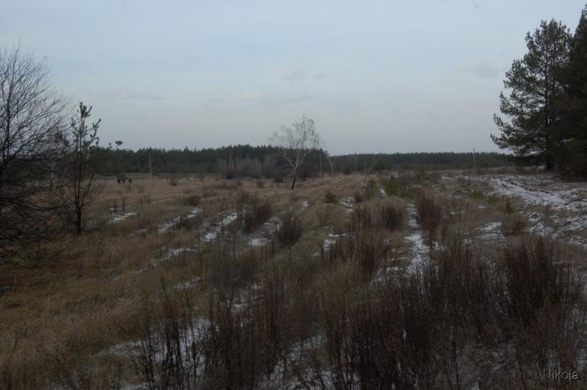 Метьолкіне з panoramio.com - Метелкино