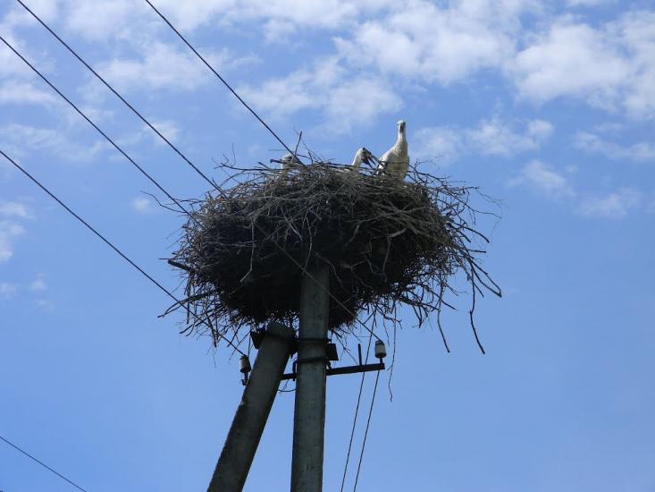 Хрипівка з panoramio.com - Хриповка