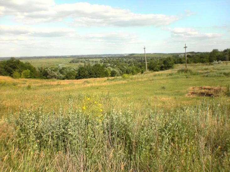 Лиски з panoramio.com - Лиски