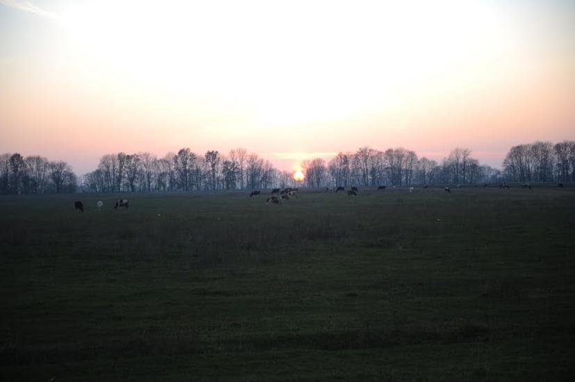 Лизогубова Слобода з panoramio.com - Лизогубова Слобода