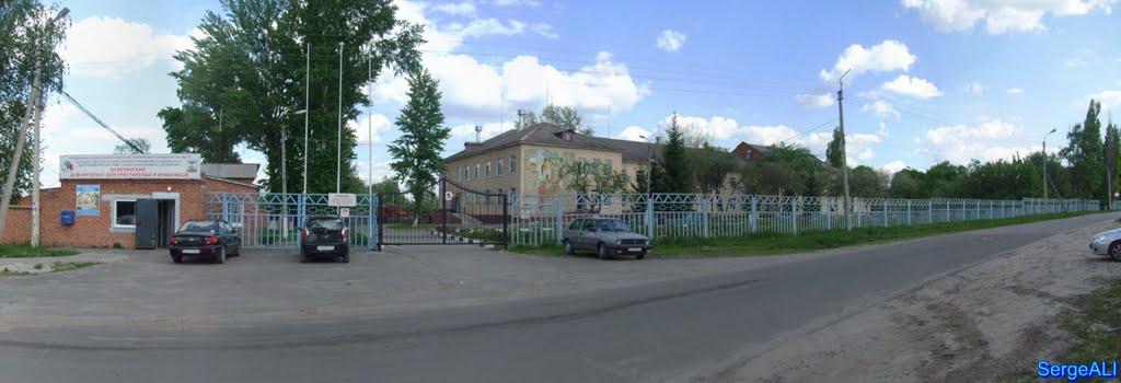 Плетенівка з panoramio.com - Плетеновка