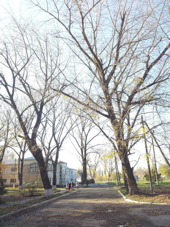 Синельникове з panoramio.com - Синельниково