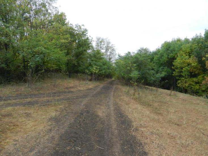 Старий Крим з panoramio.com