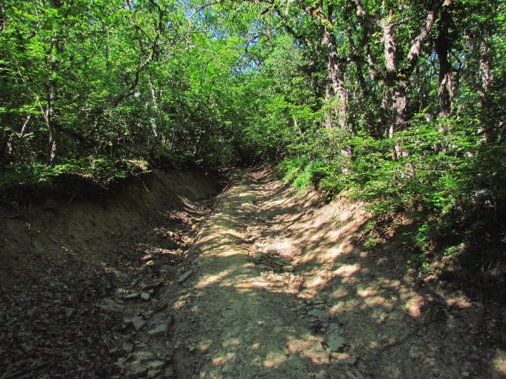 Гончарне з panoramio.com - Гончарне